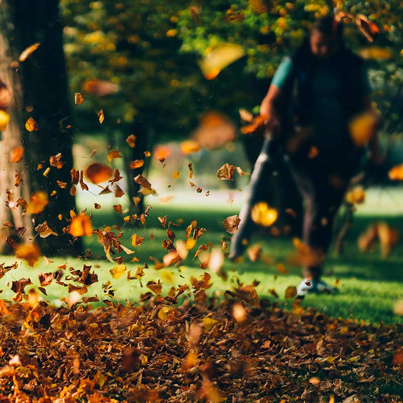 Man Leaflblowing in Autumn Garden