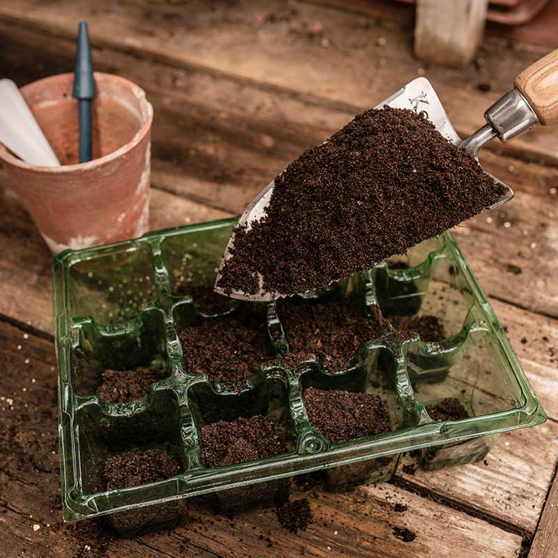 Filling Seed Tray with Compost