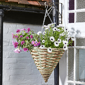 Hanging Baskets & Accessories