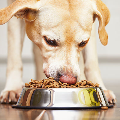 Dog Food