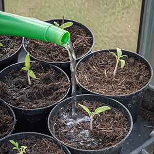 Greenhouse & Growing Accessories