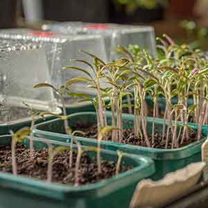 Propagators