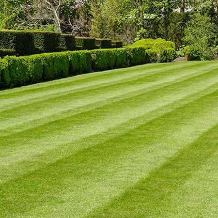 Lawn Care