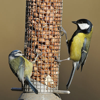 Peanut Feeders