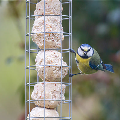 Suet & Fat Ball Feeders