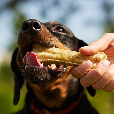 Dog Treats