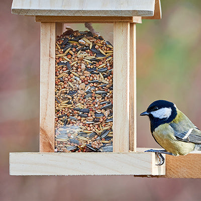 Wild Bird Seed & Mixes