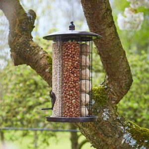Window, Ground & Multi-Feed Feeders
