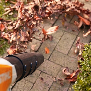Leaf Blowers & Vacs
