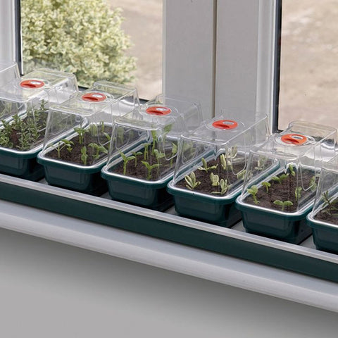 Propagation & Seed Raising