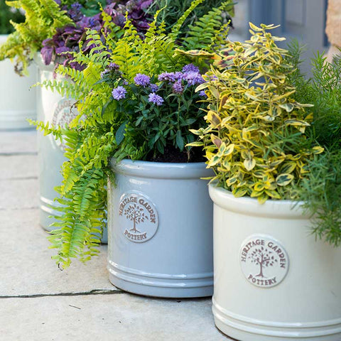 Glazed Pots & Planters