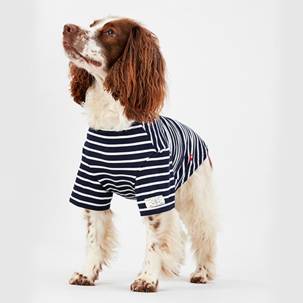 Joules