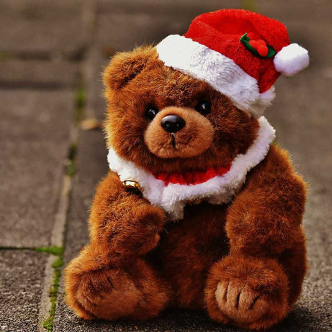 Novelty Christmas Items