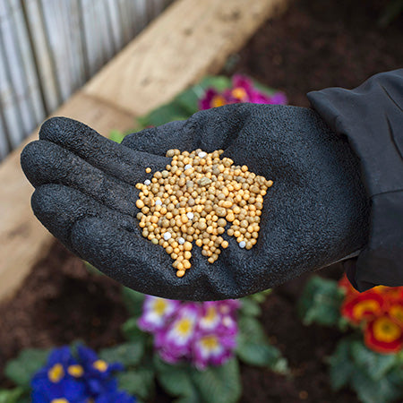 Plant Food & Fertilisers