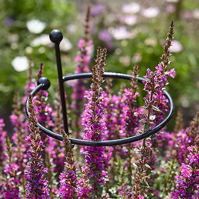 Plant Support