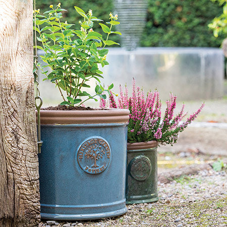 Pots & Planters