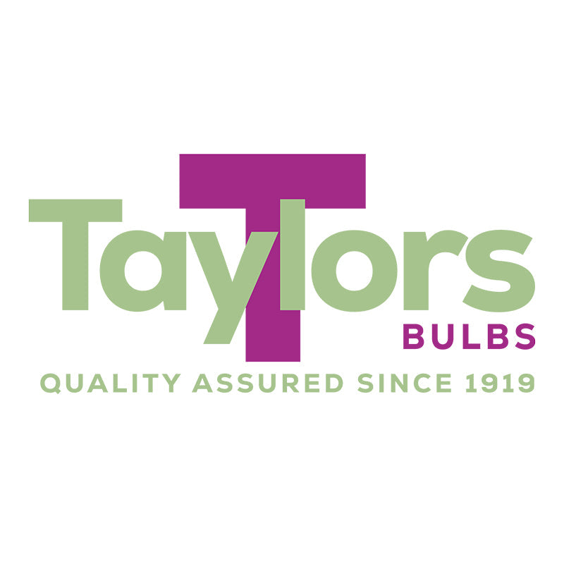 Taylors Bulbs Logo