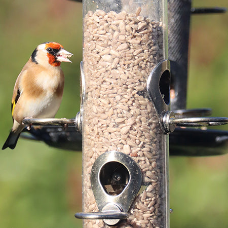 Wild Bird Feeders