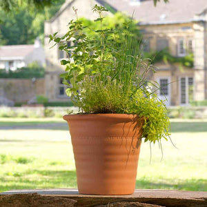 Yorkshire Flowerpots Ribbed Flowerpot (Medium) image 0