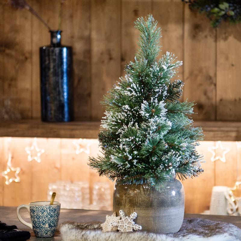 Everlands Mini Finley Frosted Christmas Tree image 0