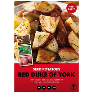 Red Duke of York First Early Seed Potatoes - 2kg image