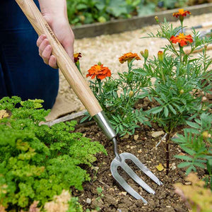 Kent & Stowe Stainless Steel Border Hand Fork image 1