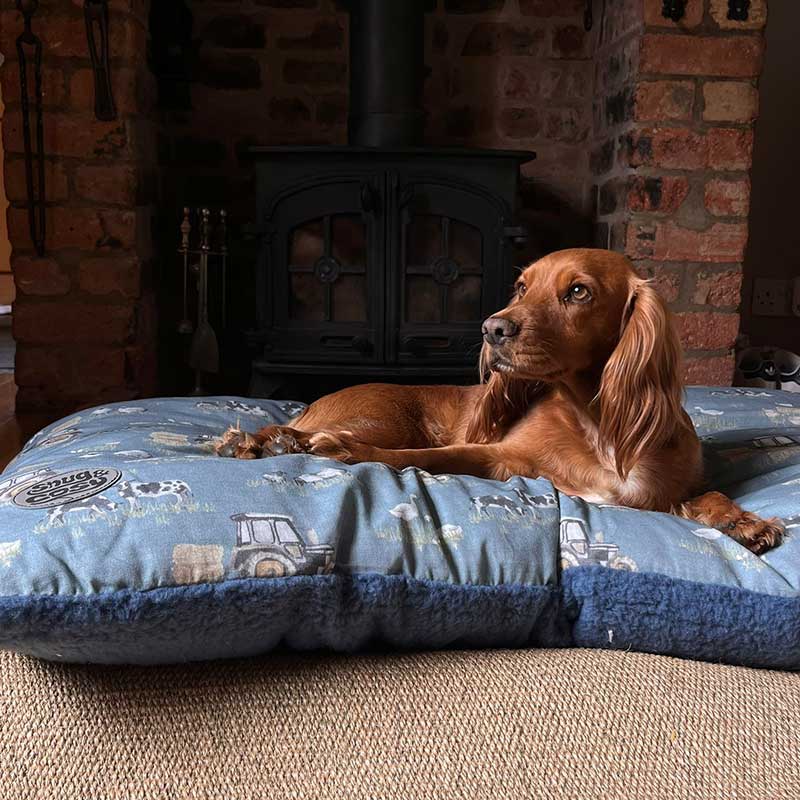 Snug & Cosy Farmyard Dog Lounger Blue image 0