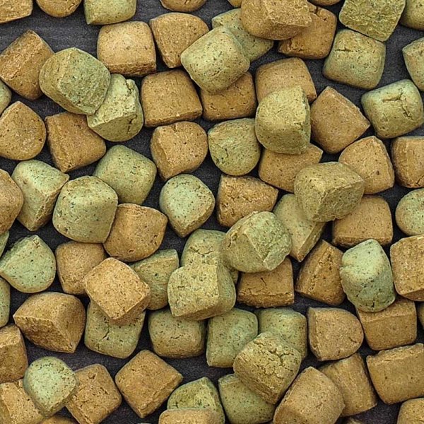 Zoon Hale & Hearty Chicken & Vegetable dog biscuits image 1