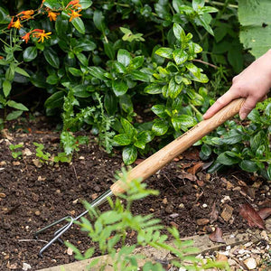 Kent & Stowe Stainless Steel Border 3 Prong Cultivator image 1