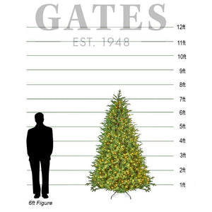 National Tree Princeton Medium Pre-Lit Christmas Tree - 7.5ft image 1
