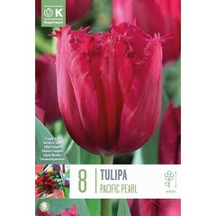 Tulip Fringed ‘Pacific Pearl’ (8 Bulbs) image 0