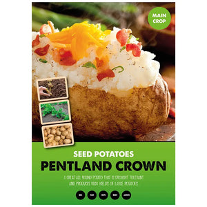 Pentland Crown Main Crop Seed Potatoes (2kg bag) image 0