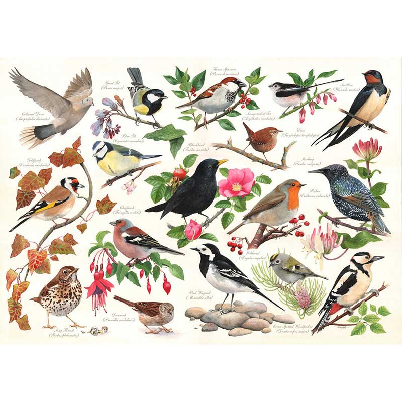 House of Puzzles Birds In My Garden 1000 Piece Jigsaw Puzzle image 0