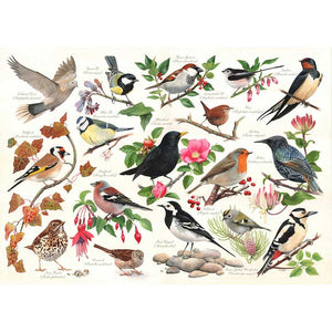 House of Puzzles Birds In My Garden 1000 Piece Jigsaw Puzzle image 0