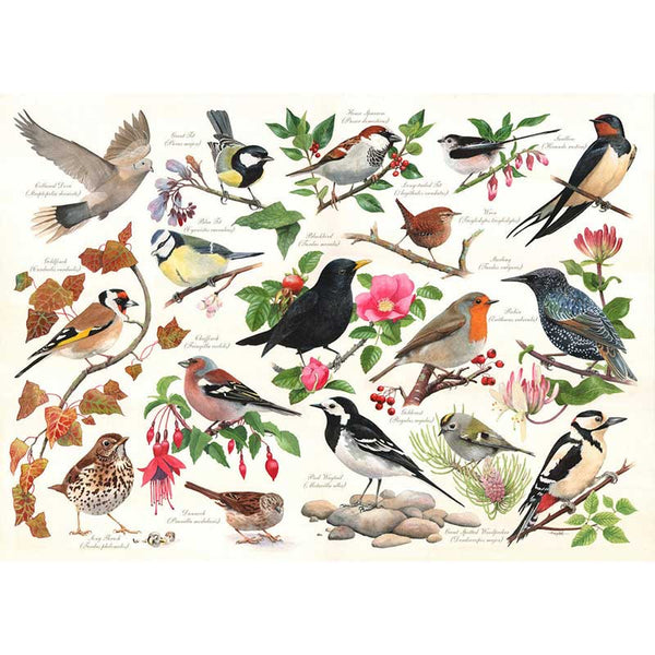 House of Puzzles Birds In My Garden 1000 Piece Jigsaw Puzzle image 0