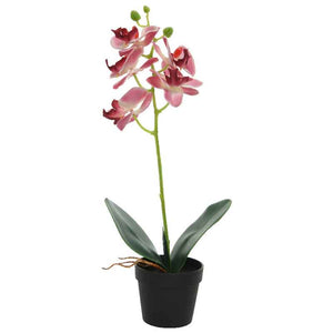 Pink Orchid in Pot (44cm) image 2