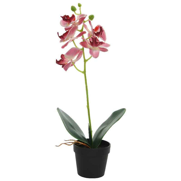 Pink Orchid in Pot (44cm) image 2