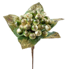 Premier Delarobia Pick image 0