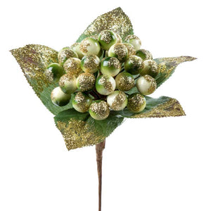 Premier Delarobia Pick image 0
