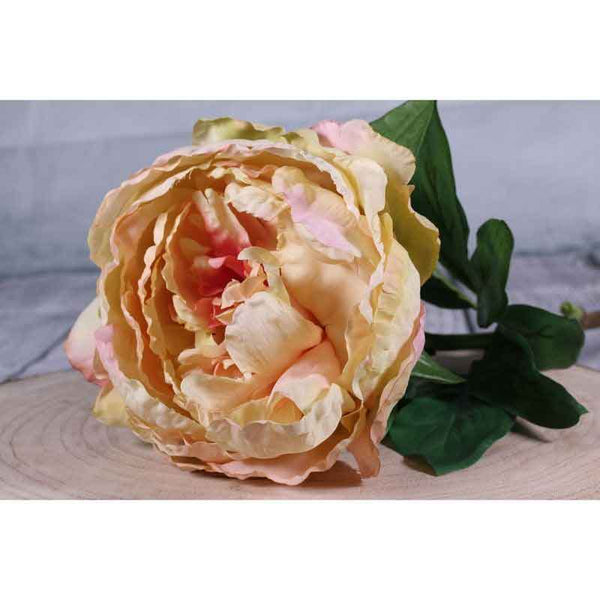 Single Cream Blush Peony Stem (71cm) image 1