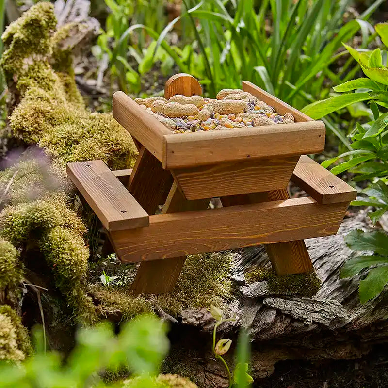Tom Chambers Squirrel Picnic Place image 0