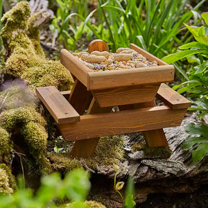 Tom Chambers Squirrel Picnic Place image 0