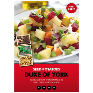 Duke of York First Early Seed Potatoes image 0