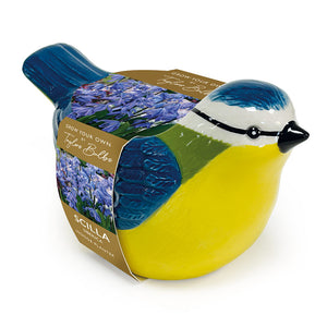Blue Tit Indoor Planter with Scilla siberica (5 Bulbs) image 0