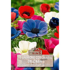 Anemone coronaria 'De Caen Mixed' (15 bulbs) image 0