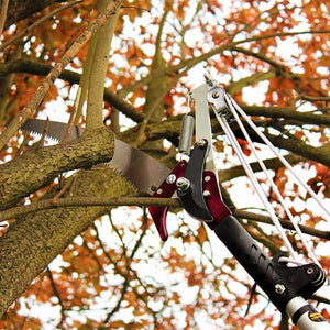 Kent & Stowe Telescopic Tree Lopper image 1