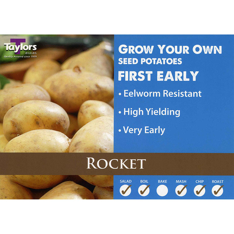 Rocket First Early Seed Potatoes image 0
