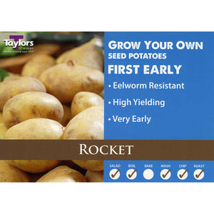 Rocket First Early Seed Potatoes image 0