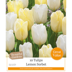 Tulips ‘Lemon Sorbet’ (10 Bulbs) image 0
