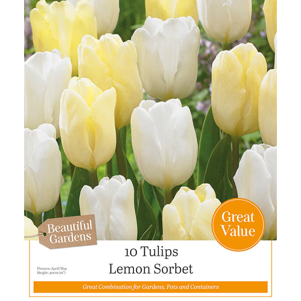 Tulips ‘Lemon Sorbet’ (10 Bulbs) image 0